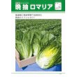 画像3: [レタス]　ロメインレタス　晩抽ロマリア　ペレット種子１００粒　タキイ種苗（株） (3)