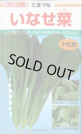 画像: 送料無料　[小松菜]　いなせ菜　20ml　カネコ種苗（株）