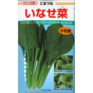 画像: [小松菜]　いなせ菜　 20ｍｌ 　カネコ交配