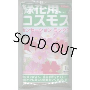 画像: [景観形成作物]　緑花用コスモス・センセーションミックス　1L　(株)サカタのタネ