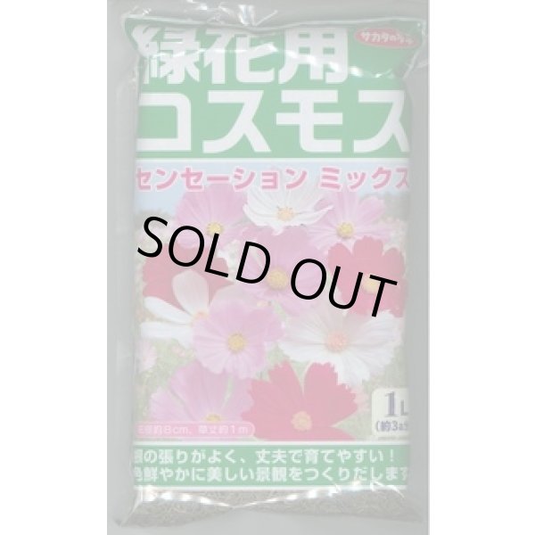 画像1: [景観形成作物]　緑花用コスモス・センセーションミックス　1L　(株)サカタのタネ (1)