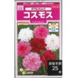 画像1: 花の種　コスモス　ダブルクリック　約36粒　サカタのタネ（株）実咲350 (1)