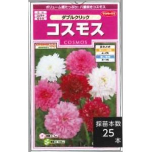 画像: 花の種　コスモス　ダブルクリック　約36粒　サカタのタネ（株）実咲350