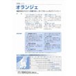 画像3: シーダー種子　人参　オランジェ　1粒×6cm間隔 (3)