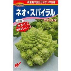 画像: [カリフラワー]　ネオ・スパイラル　1000粒　渡辺農事（株）