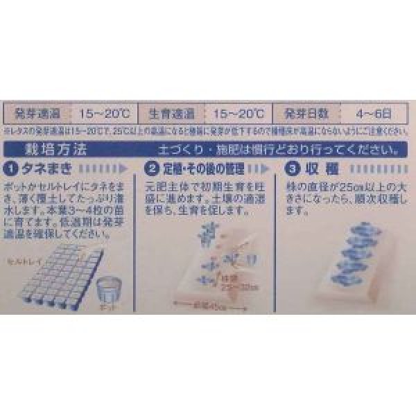 画像2: [レタス]　グリーンジャケット　ペレット　5000粒　タキイ種苗(株) (2)