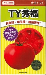 画像: 送料無料　[トマト/大玉トマト]　TY秀福　1000粒　コート種子　カネコ交配