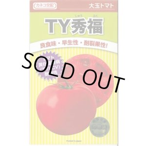 画像: 送料無料　[トマト/大玉トマト]　TY秀福　1000粒　カネコ種苗（株）