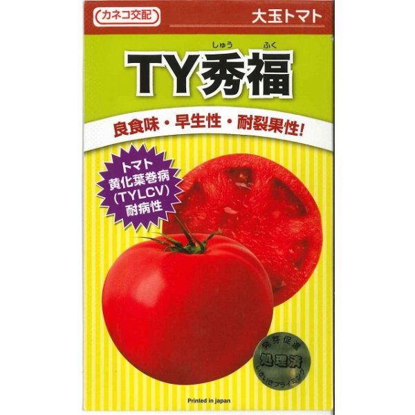 画像1: 送料無料　[トマト/大玉トマト]　TY秀福　1000粒　カネコ交配 (1)
