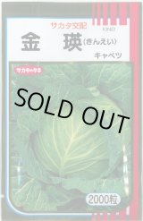 画像: 送料無料 [キャベツ] 金瑛 2000粒 （株）サカタのタネ