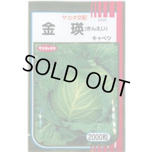 画像: 送料無料 [キャベツ] 金瑛 2000粒 （株）サカタのタネ