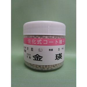 画像: 送料無料　[キャベツ]　金瑛　コート5000粒　（株）サカタのタネ