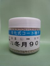 画像: 送料無料 [白菜] 冬月90 コート種子 5000粒 （株）サカタのタネ