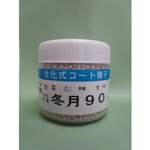 画像: 送料無料 [白菜] 冬月90 コート種子 5000粒 （株）サカタのタネ