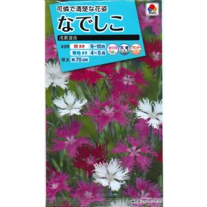 画像: 送料無料　花の種　なでしこ　河原混合　タキイ種苗(株)