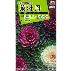 画像: 花の種 葉牡丹 丸葉系 フレッシュミックス タキイ種苗(株)NL200
