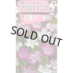 画像: 送料無料　花の種　アグロステンマ　ラブリーミックス　タキイ種苗(株)NL300