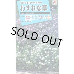 画像: 送料無料　花の種　わすれな草　アルペストリス混合　タキイ種苗(株)NL150