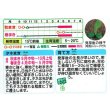 画像2: 送料無料　花の種　わすれな草　アルペストリス混合　タキイ種苗(株) (2)