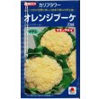 画像1: 送料無料　[カリフラワー]　オレンジブーケ　20ml　タキイ種苗(株) (1)
