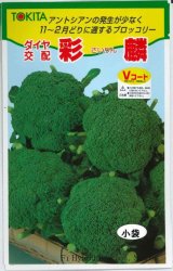 画像: 送料無料　[ブロッコリー]　彩麟　小袋　トキタ種苗(株)