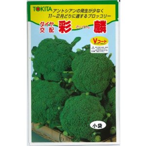 画像: 送料無料　[ブロッコリー]　彩麟　小袋　トキタ種苗(株)