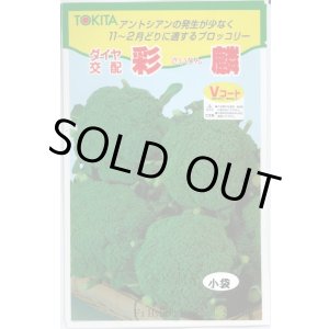 画像: 送料無料　[ブロッコリー]　彩麟　小袋　トキタ種苗(株)