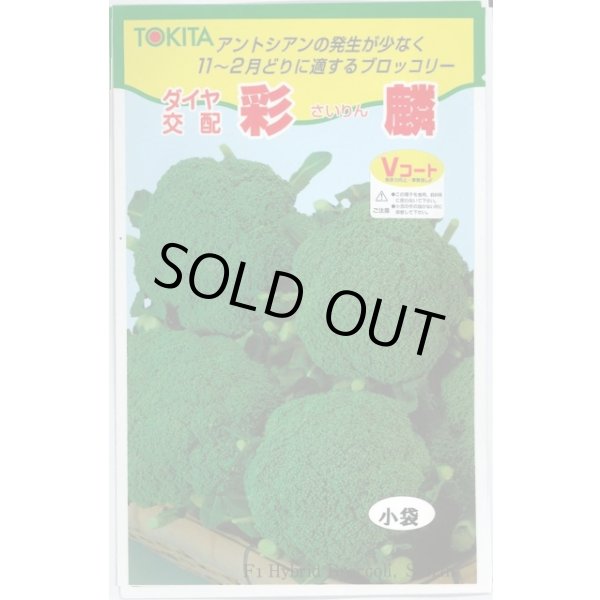 画像1: 送料無料　[ブロッコリー]　彩麟　小袋　トキタ種苗(株) (1)