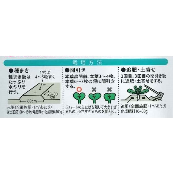 画像2: 送料無料　[大根]　新貴聖　8ml(およそ328粒)　（株）大和農園 (2)