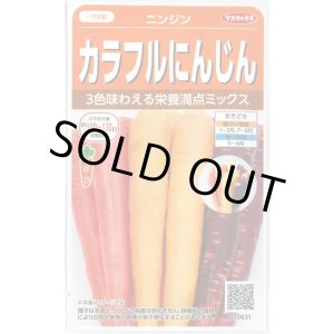 画像: 送料無料　人参　カラフルにんじん　約470粒　(株)サカタのタネ実咲450（003112）