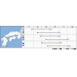 画像4: [大根]　大根種　輝八洲　2ｄｌ　タキイ種苗（株） (4)