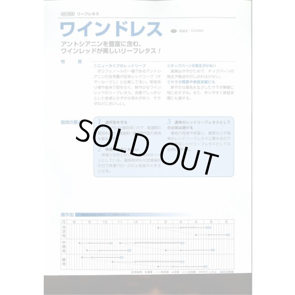 画像3: 送料無料　[レタス]　リーフレタス　ワインドレス　ペレット5千粒　タキイ種苗(株) (3)