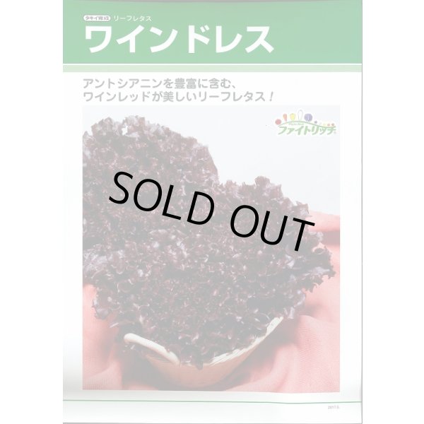 画像2: 送料無料　[レタス]　リーフレタス　ワインドレス　ペレット5千粒　タキイ種苗(株) (2)