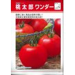 画像2: [トマト/桃太郎系]　送料無料！　桃太郎ワンダー　1000粒　タキイ種苗（株） (2)