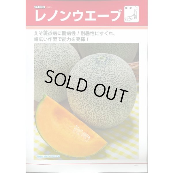 送料無料 [メロン] レノンウェーブ 100粒 タキイ種苗(株)(野菜種