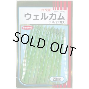 画像: 送料無料　[アスパラガス]　ウェルカム　20ml　(株)サカタのタネ