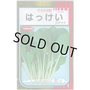 画像: 送料無料　[小松菜]　はっけい　20ml　（株）サカタのタネ
