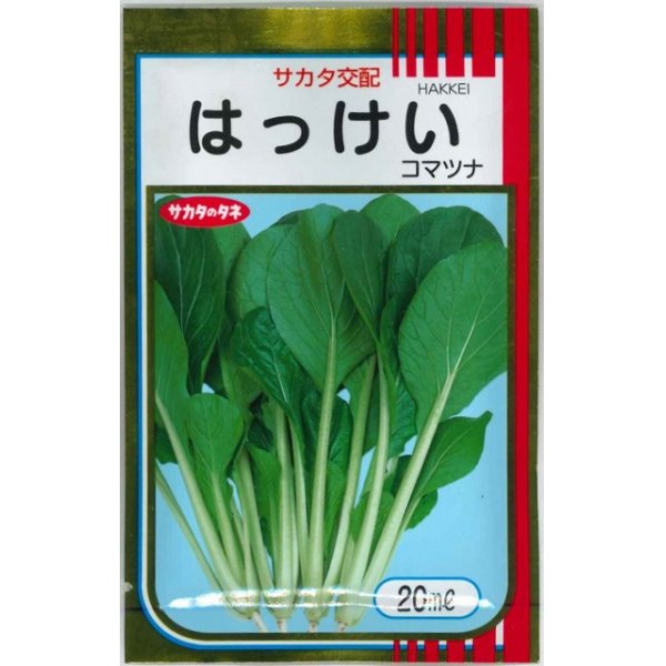 画像1: [小松菜]　はっけい　20ml　サカタ交配　 (1)