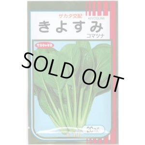 画像: 送料無料　[小松菜]　きよすみ　20ml　（株）サカタのタネ
