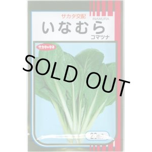 画像: 送料無料　[小松菜]　いなむら　20ml　（株）サカタのタネ