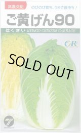 画像: 送料無料　[白菜]　ご黄げん90　小袋（約260粒）　(株)タカヤマシード