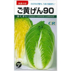 画像: 送料無料　[白菜]　ご黄げん90　小袋（約260粒）　(株)タカヤマシード