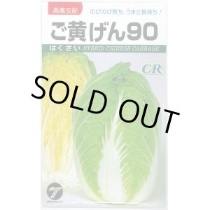 画像: [白菜]　ご黄げん90　小袋　（株）タカヤマシード