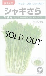 画像: 送料無料　水菜　シャキさら　5ml　(株)タカヤマシード