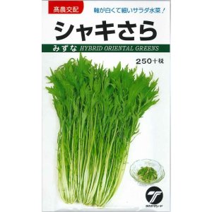 画像: 送料無料　[葉物]　水菜　シャキさら　5ml　(株)タカヤマシード