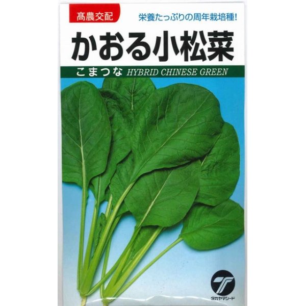 画像1: [小松菜]　かおる小松菜　小袋　（株）タカヤマシード (1)