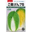 画像1: [白菜]　ご黄げん75　10ml　（株）タカヤマシード (1)