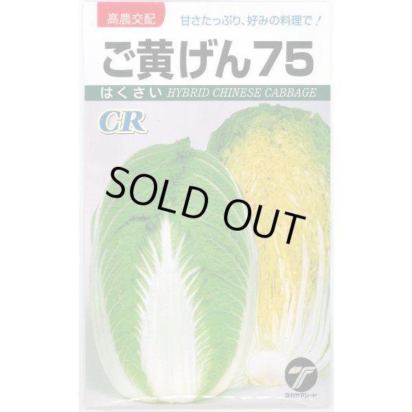 画像1: 送料無料　[白菜]　ご黄げん75　10ml　(株)タカヤマシード (1)
