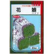 画像1: [葉物]　ハナナ　花娘　20ml　サカタ交配 (1)