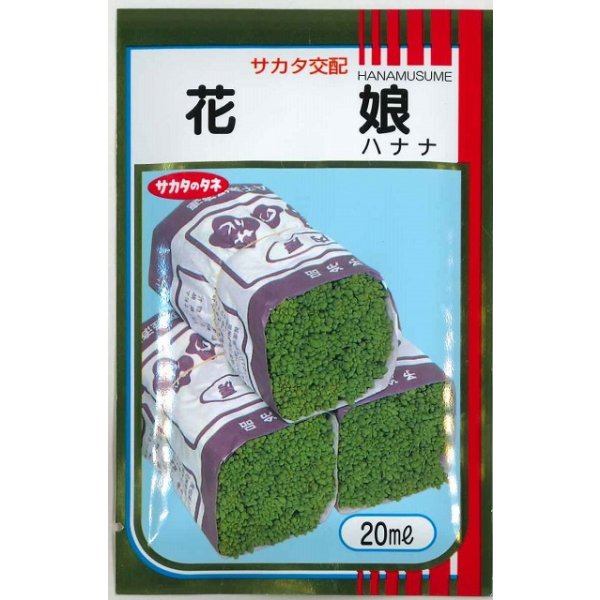 画像1: 送料無料 ハナナ 花娘 20ml （株）サカタのタネ (1)